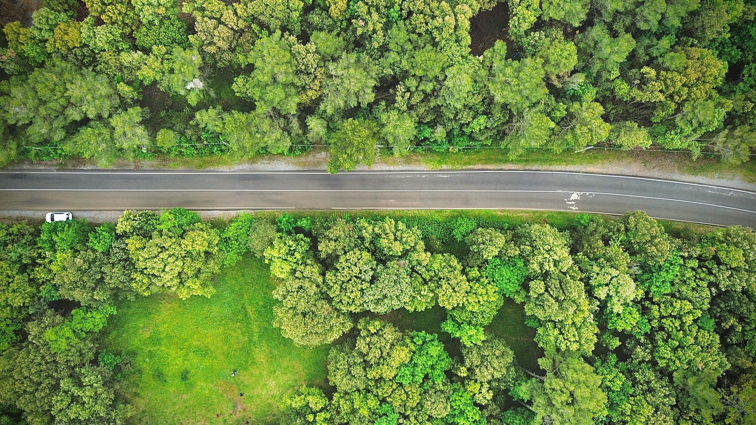 Energia, sostenibilità e territori: perché il futuro si costruisce oggi